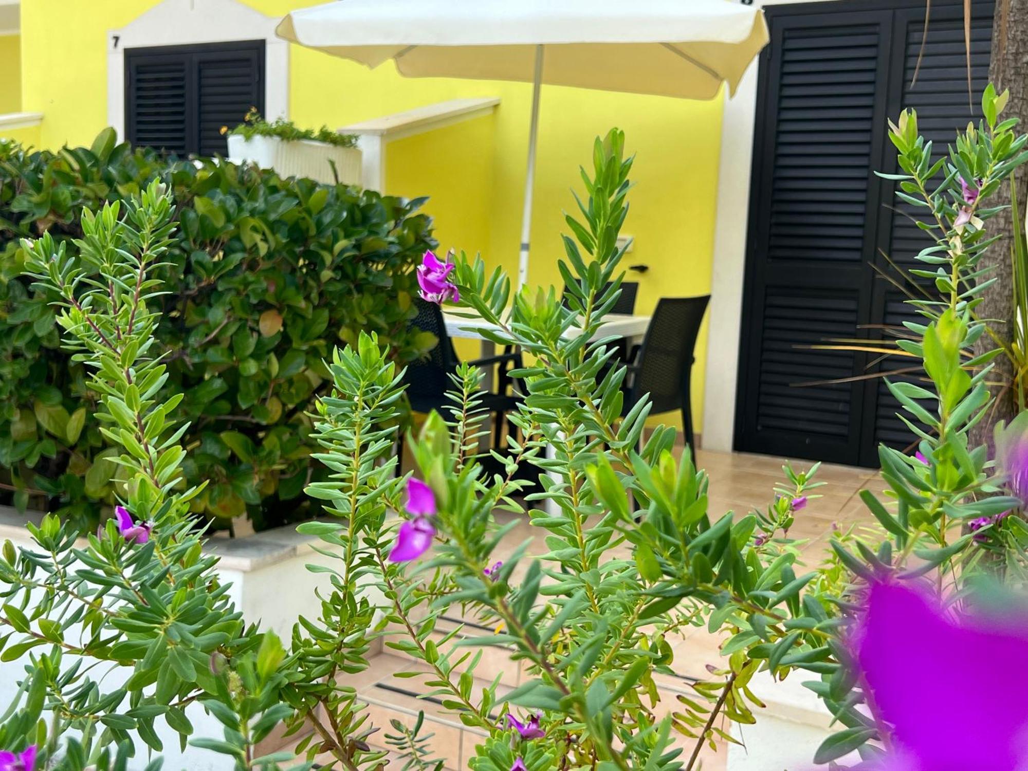 Argeste Club Vacanze Vieste Exteriör bild